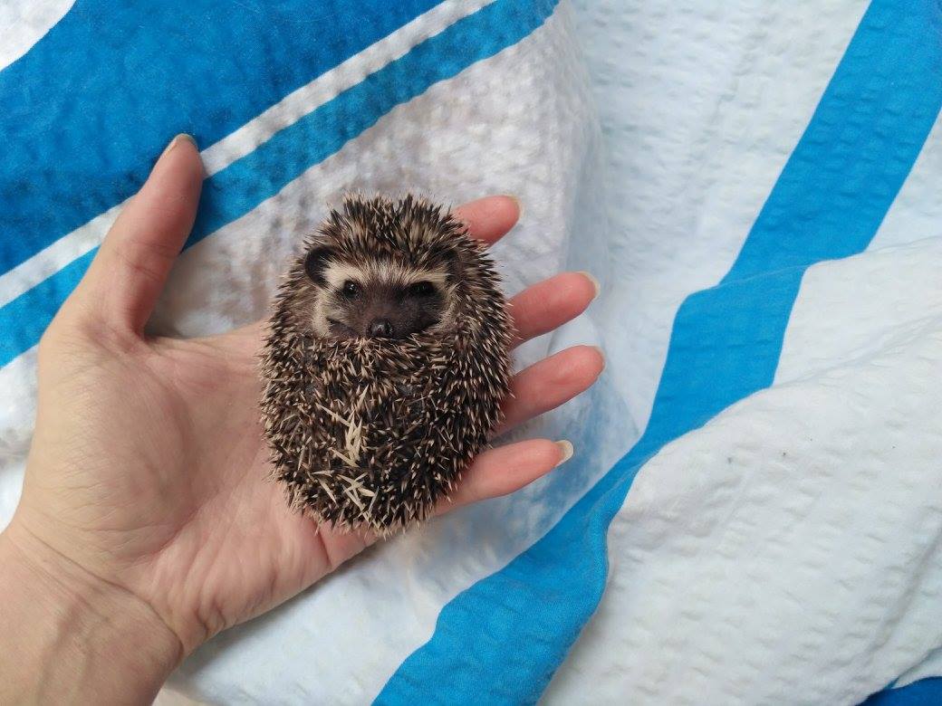 BWB Cassie Blake -zůstala u nás