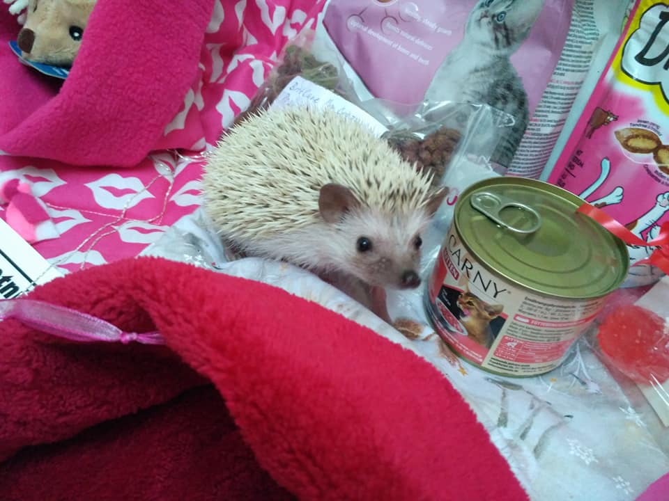 BWB Erica Reyes - šla k tatínkovi :)